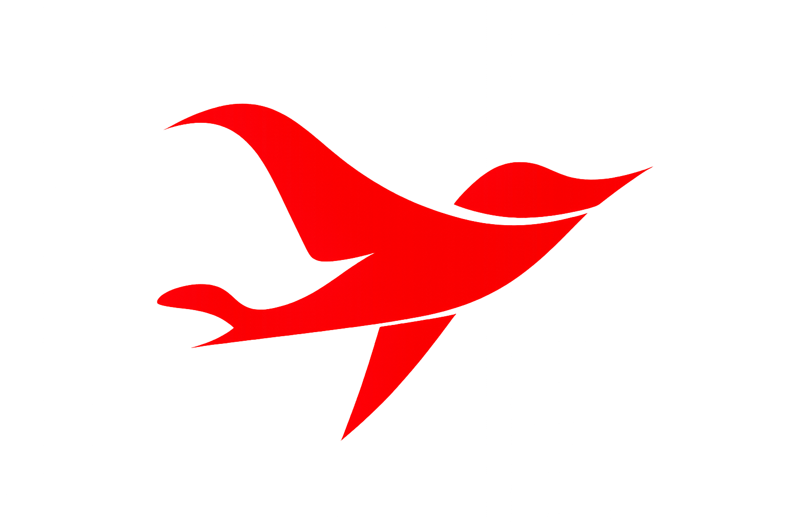 FlyNepal